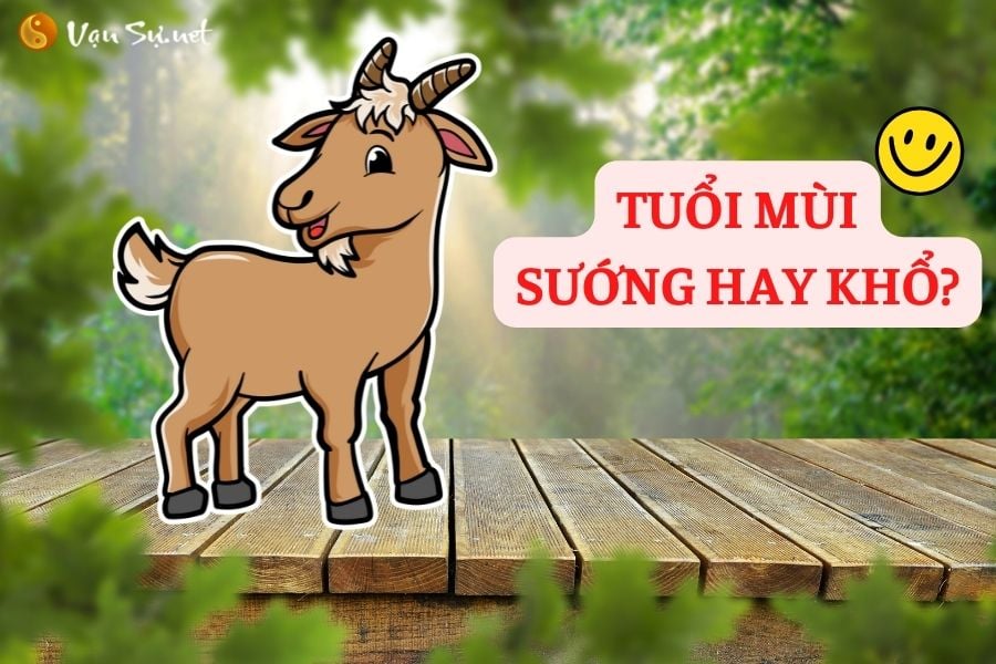 xem-van-so-qua-gio-ngay-thang-sinh-cho-nguoi-tuoi-mui-20