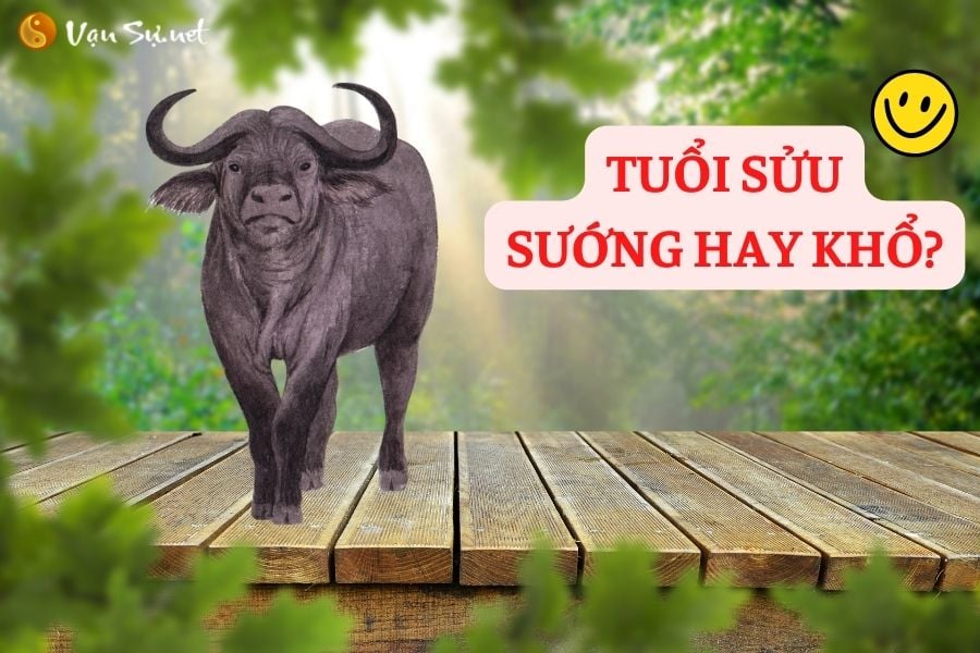 van-menh-nguoi-tuoi-suu-qua-cac-gio-ngay-thang-sinh-54