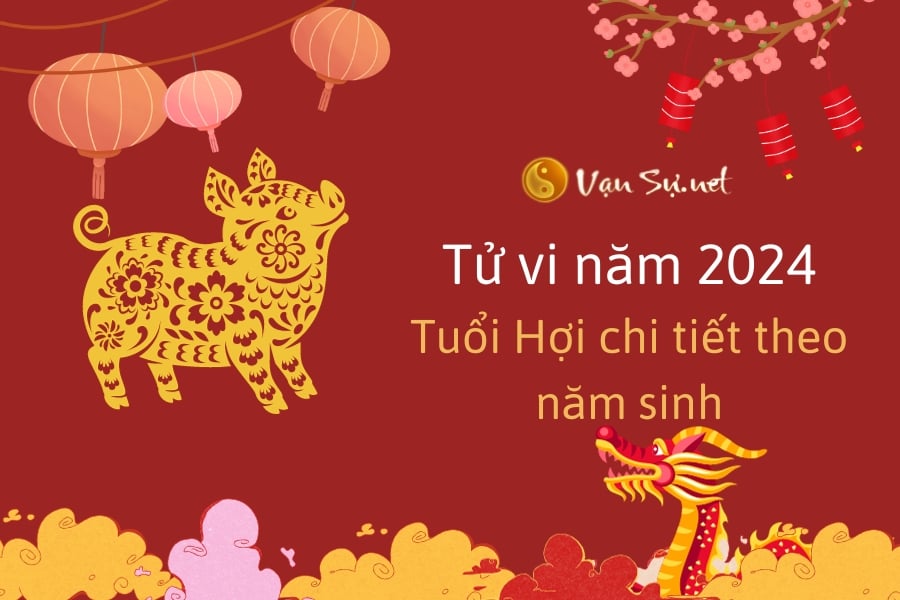 tu-vi-tuoi-hoi-nam-2024-luan-giai-chi-tiet-tung-nam-sinh-77